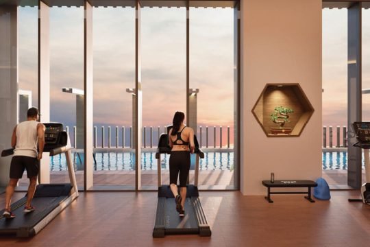 ATS HomeKraft Sanctuary-GYM Smartworld One DXP-GYM